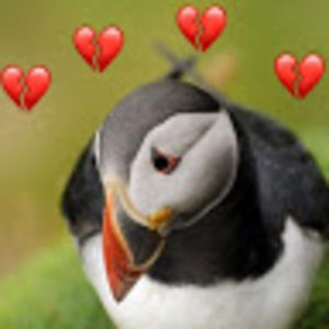 Meet your Posher, Nicolas